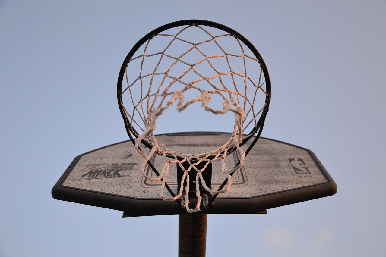 NBA历届总冠军，传奇与荣耀的见证——回顾篮球史上的伟大瞬间