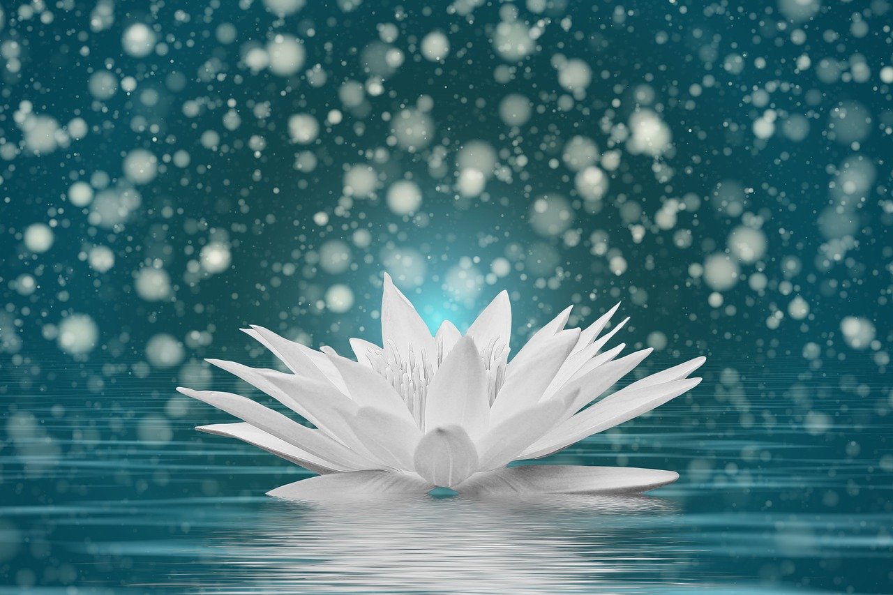 新篇章的开启与期待