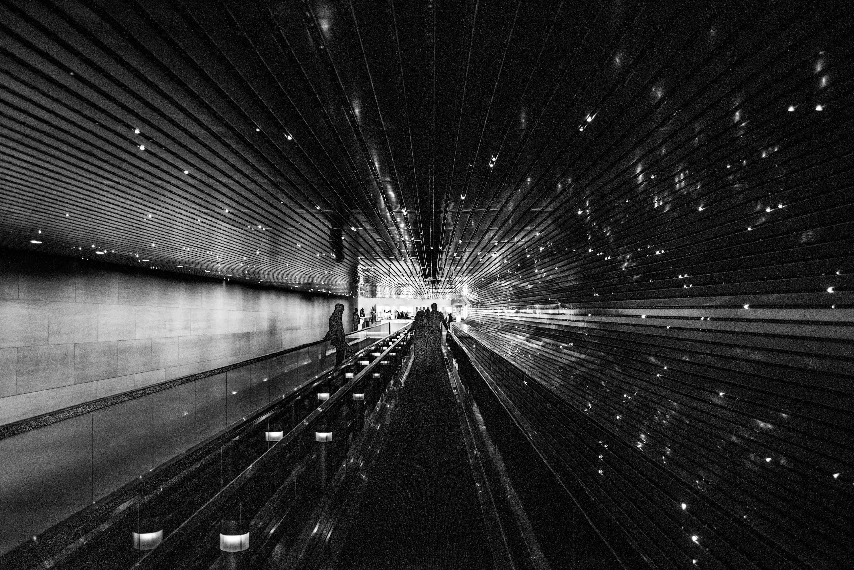 顶尖组合与未来之星 顶尖组合与未来之星