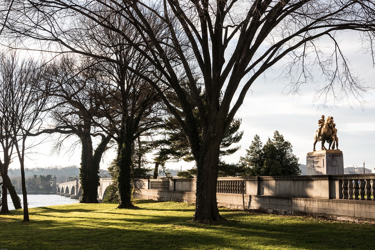 游戏与社区的桥梁 游戏与社区的桥梁