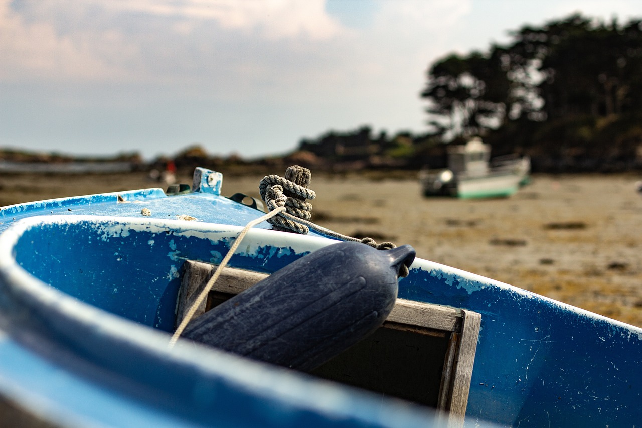 中国31省新增确诊11例,本土8例,疫情防控新动态与应对策略 中国31省新增确诊11例,本土8例,疫情防控新动态与应对策略