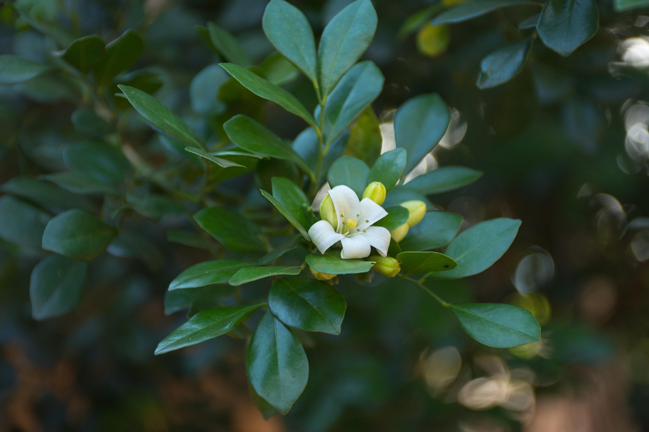 中宁疫情动态，了解最新情况，采取有效防护措施