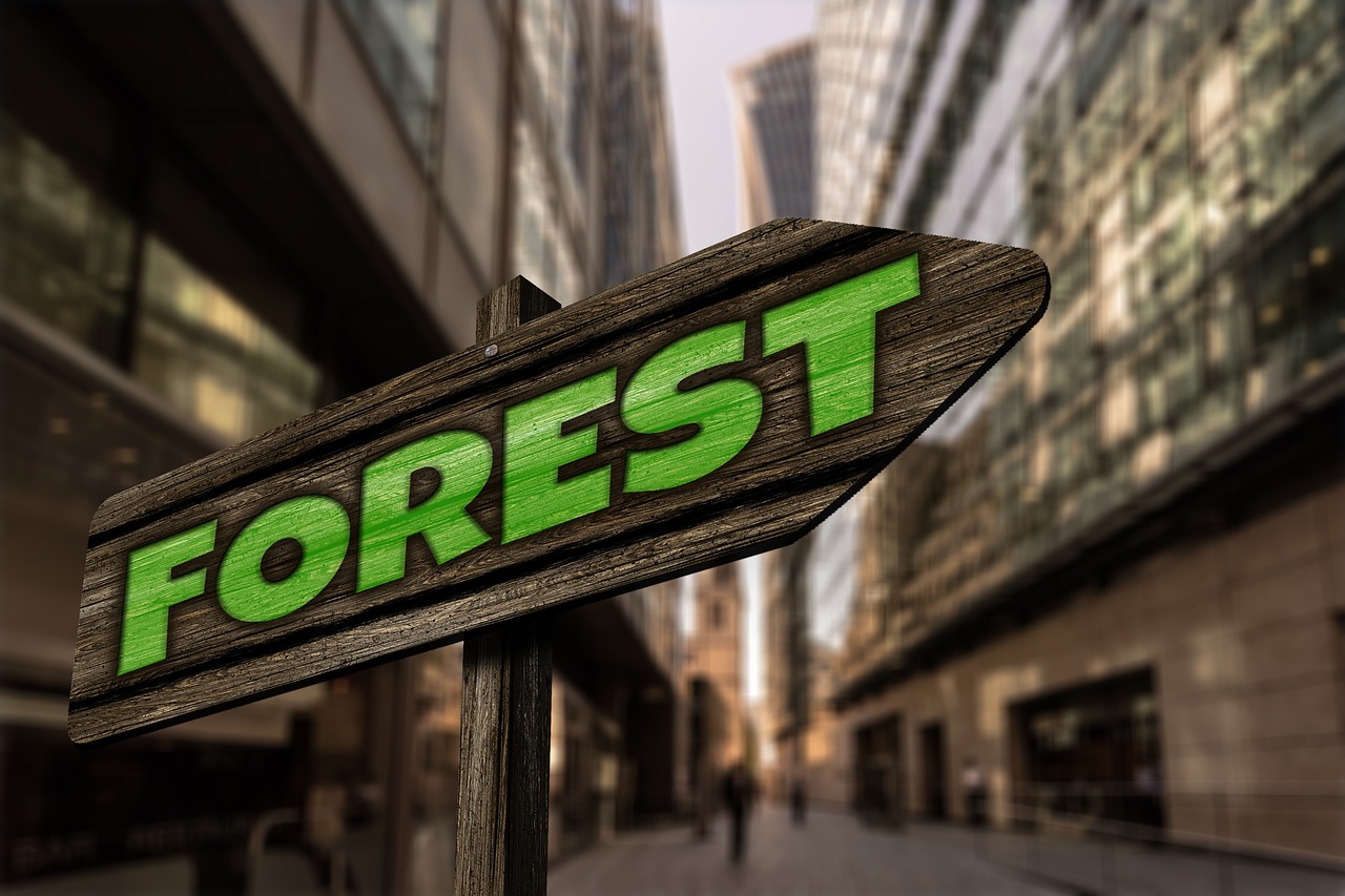 七乐彩模拟自动选号机，彩票爱好者的新宠