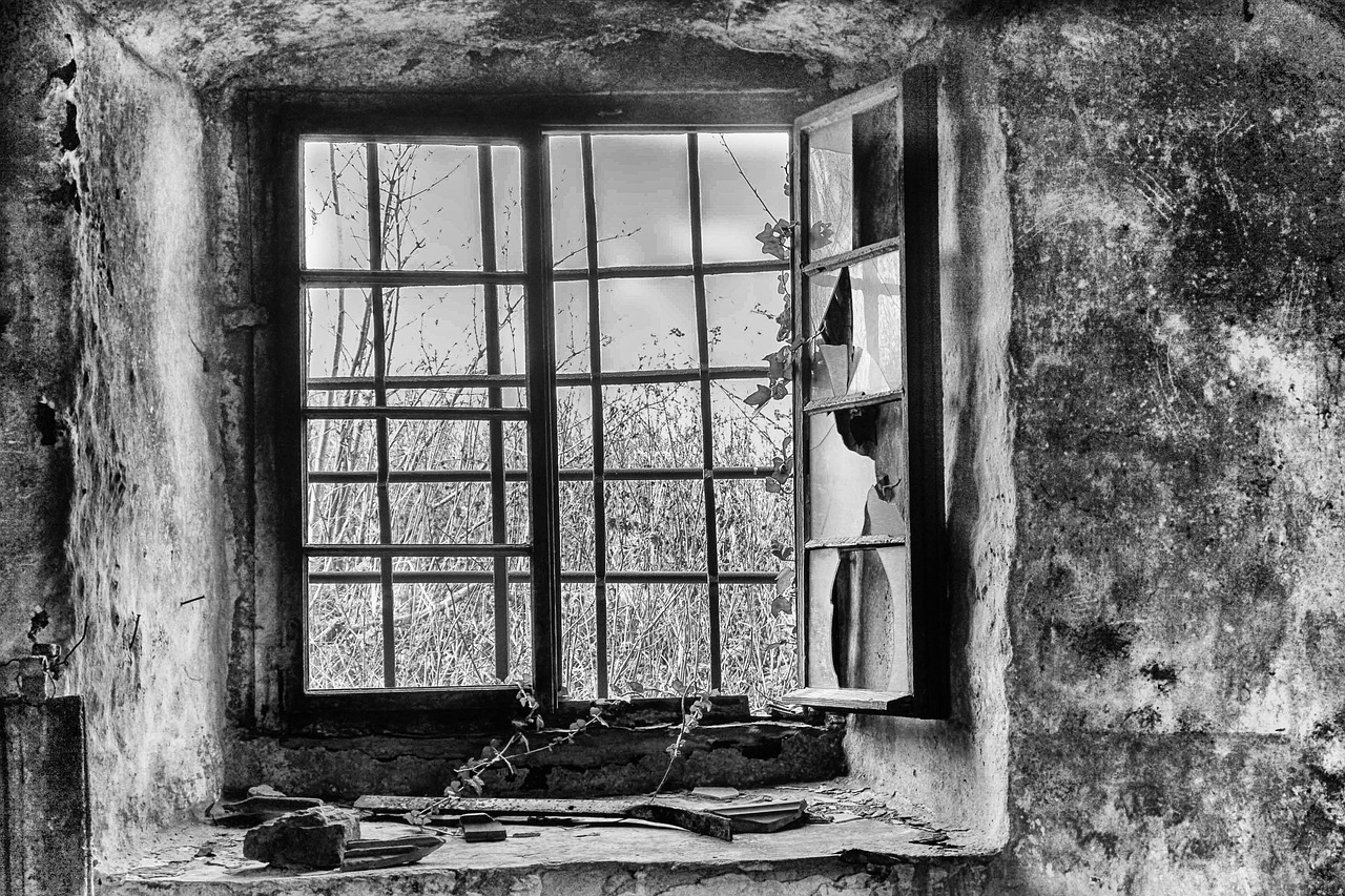 美国疫情死亡人数最新动态,分析与展望 美国疫情死亡人数最新动态,分析与展望