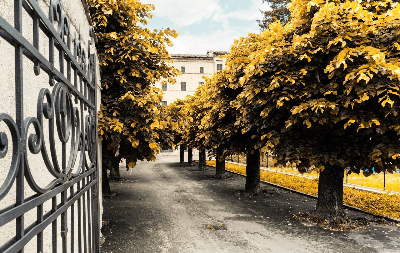 杭州半岛国际，现代都市的奢华绿洲