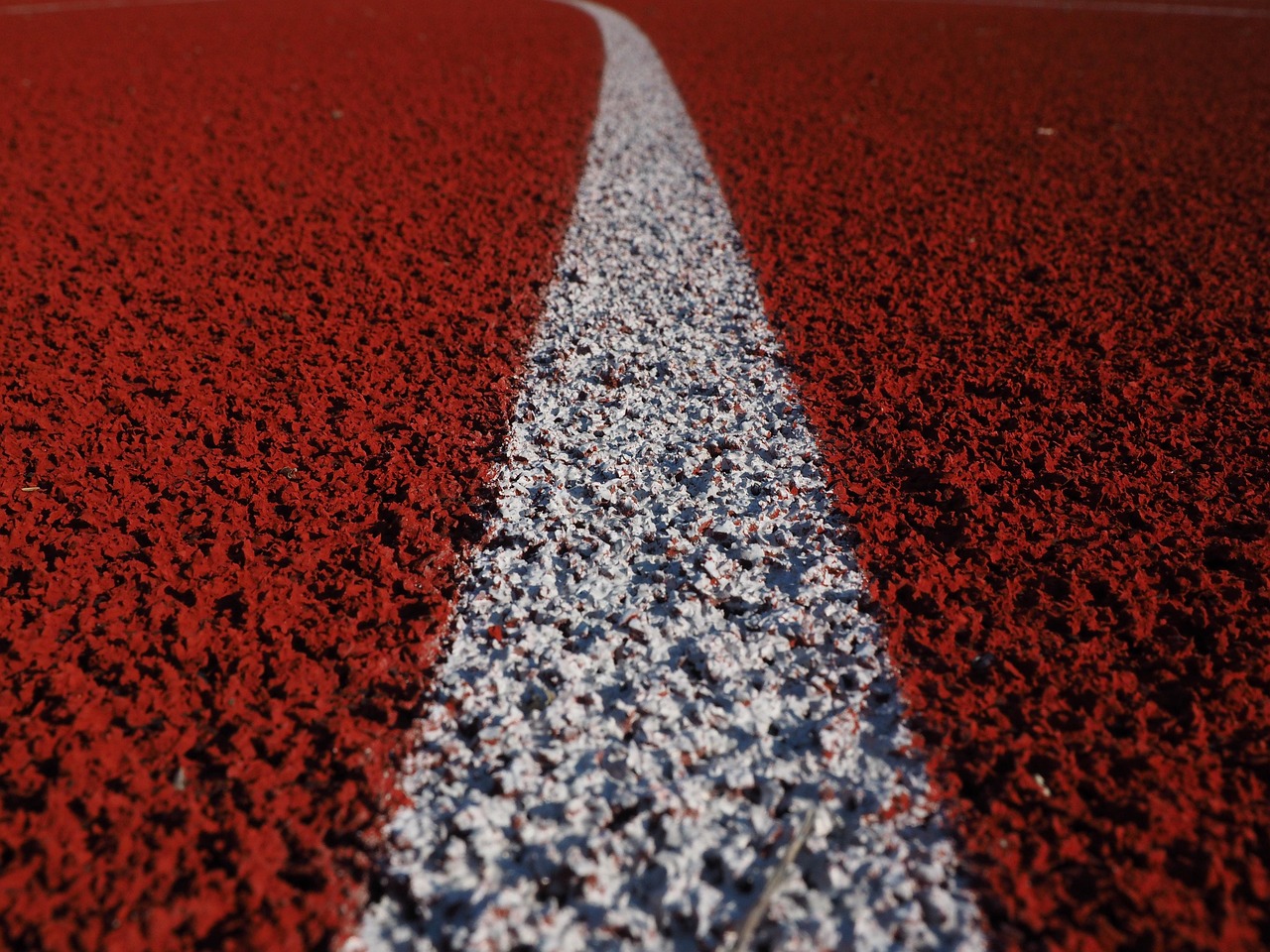 飞奔在跑道上，田径运动的魅力与智慧