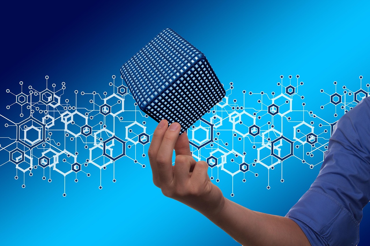 探索鲸鱼官方下载，如何安全高效地获取鲸鱼应用