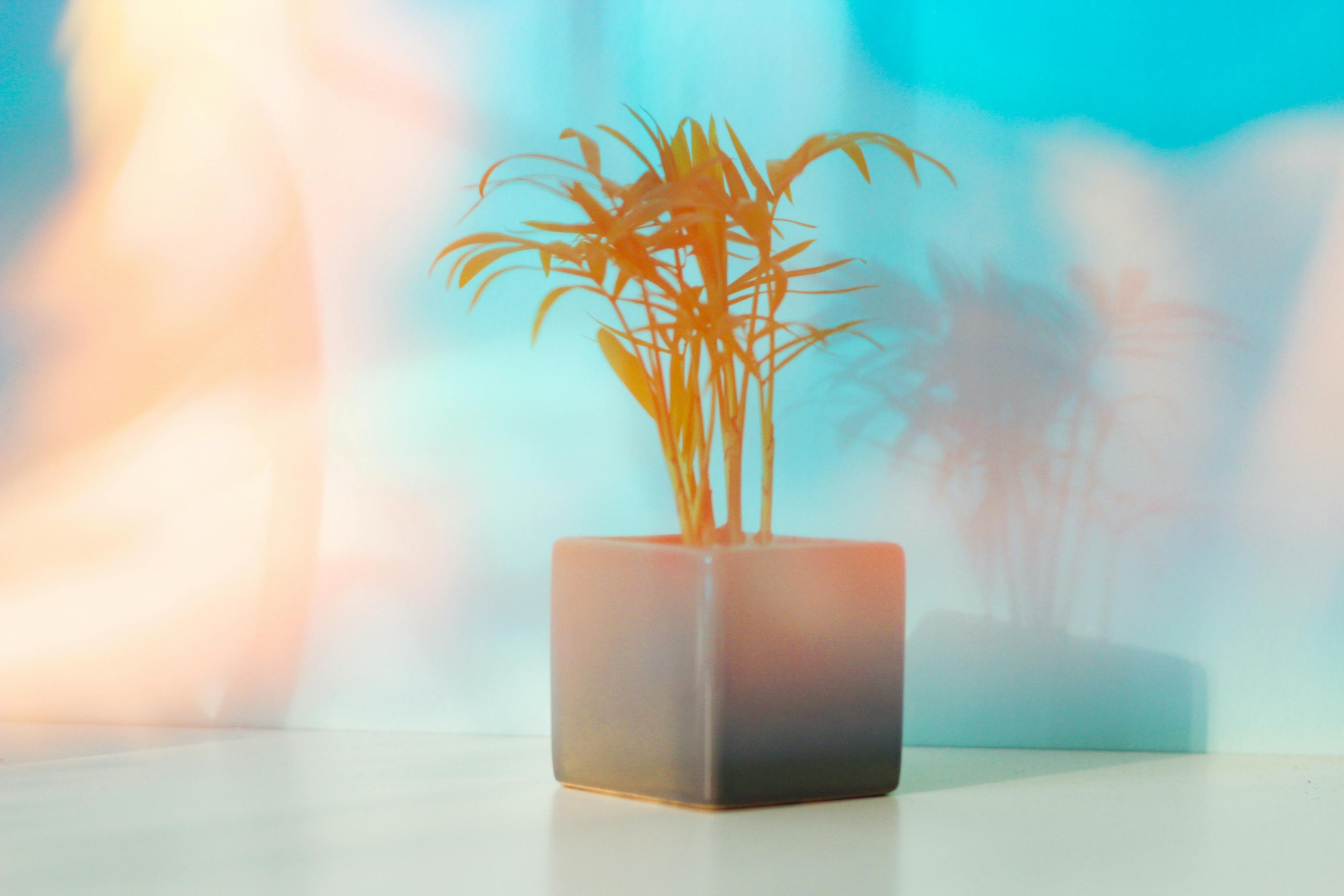 探索新闻与体育的世界，最佳软件指南