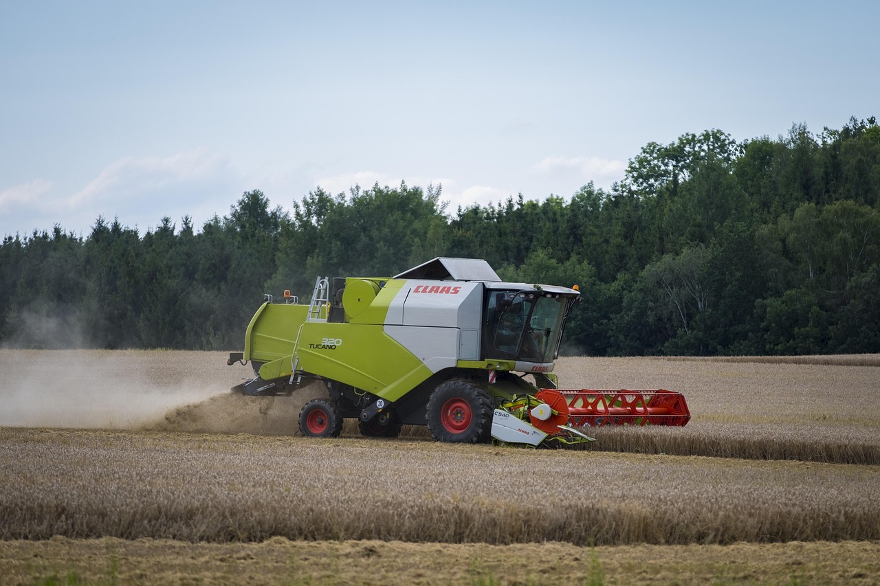 全面提升战斗力,深入了解军事体能训练五项 全面提升战斗力,深入了解军事体能训练五项