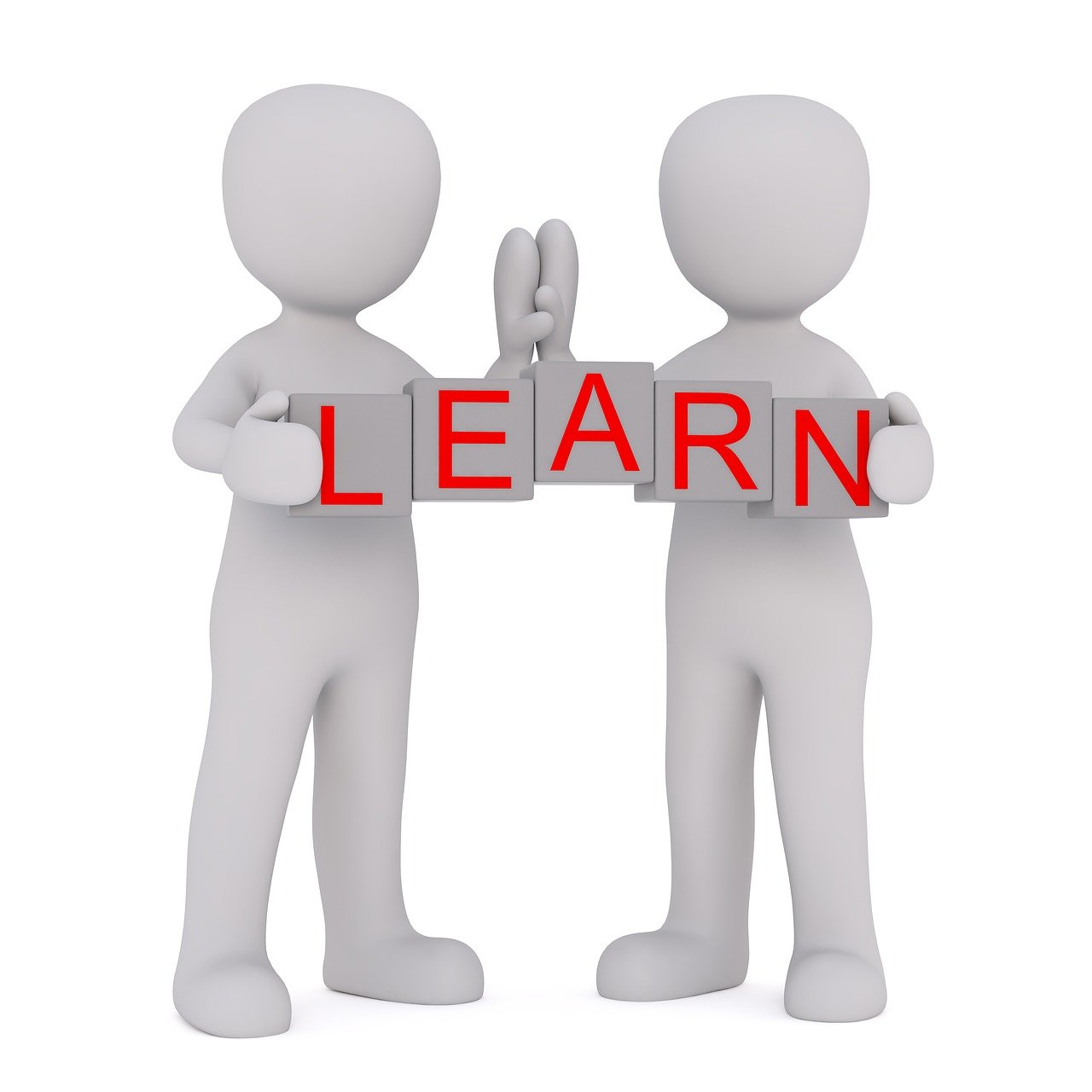 如何轻松下载体育官网资源,一份详尽的指南 如何轻松下载体育官网资源,一份详尽的指南