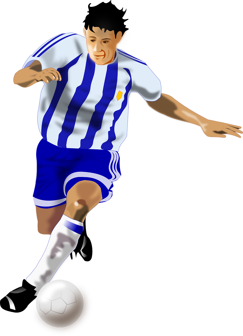 全面了解体育，七大类别的深入解析