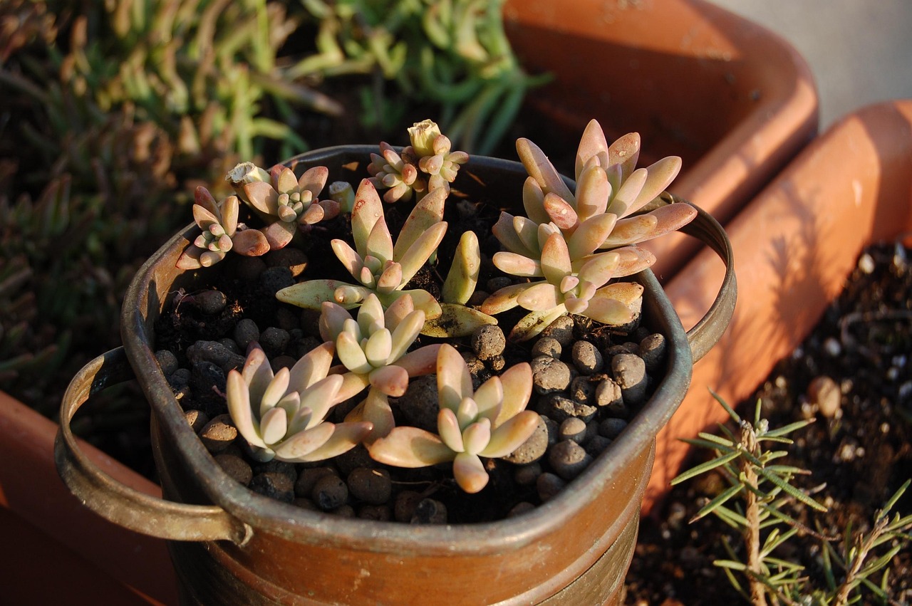 北仑疫情新动态，共同关注，共筑防线