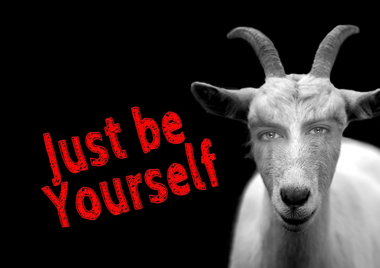 鸡你太美，网络恐怖事件背后的心理与社会影响