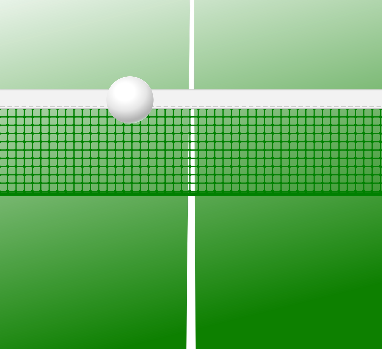 乒乓球新手必读，掌握基本动作，开启你的桌上网球之旅