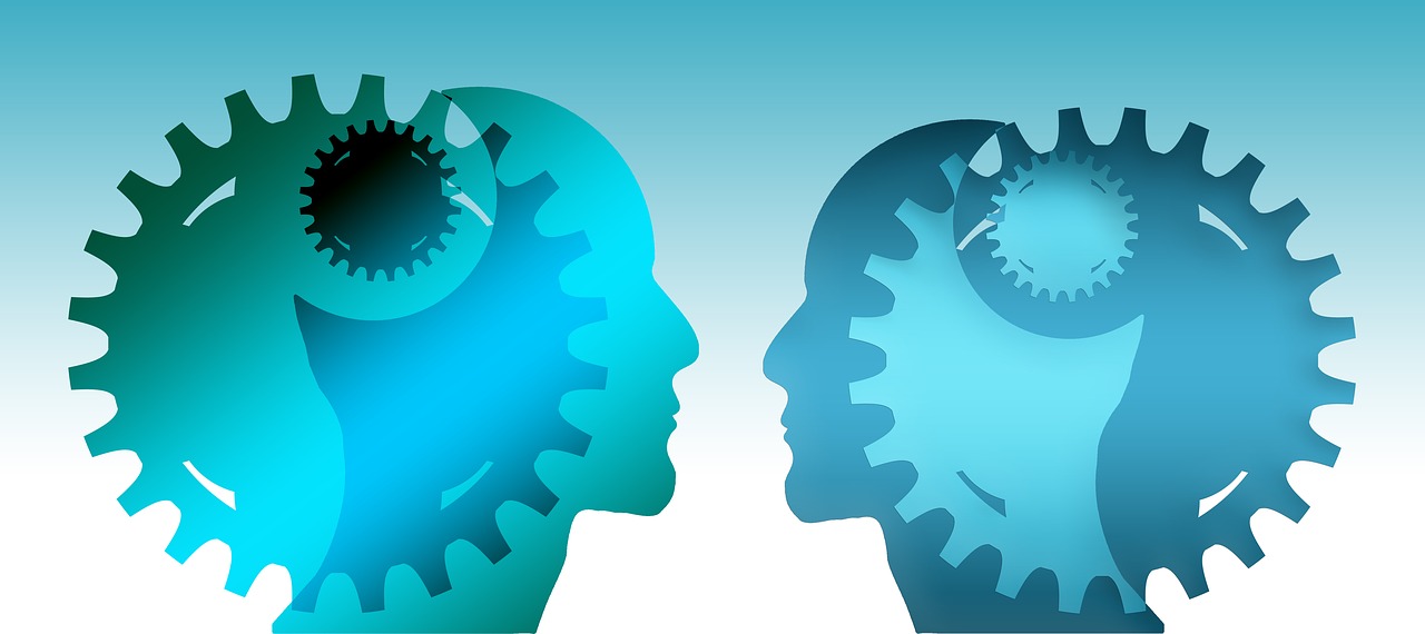 奥运精神，超越自我，团结协作的典范