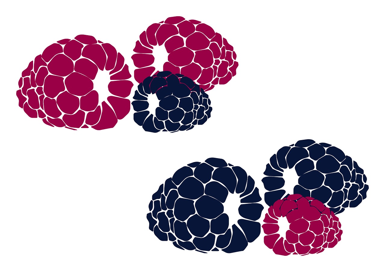 德甲风云，2023/24赛季的五大看点与球队动态