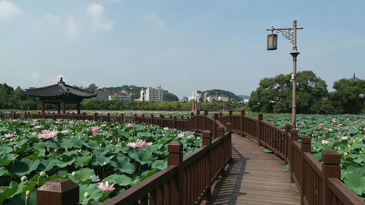 龙曜城体育公园，城市绿洲中的活力之源