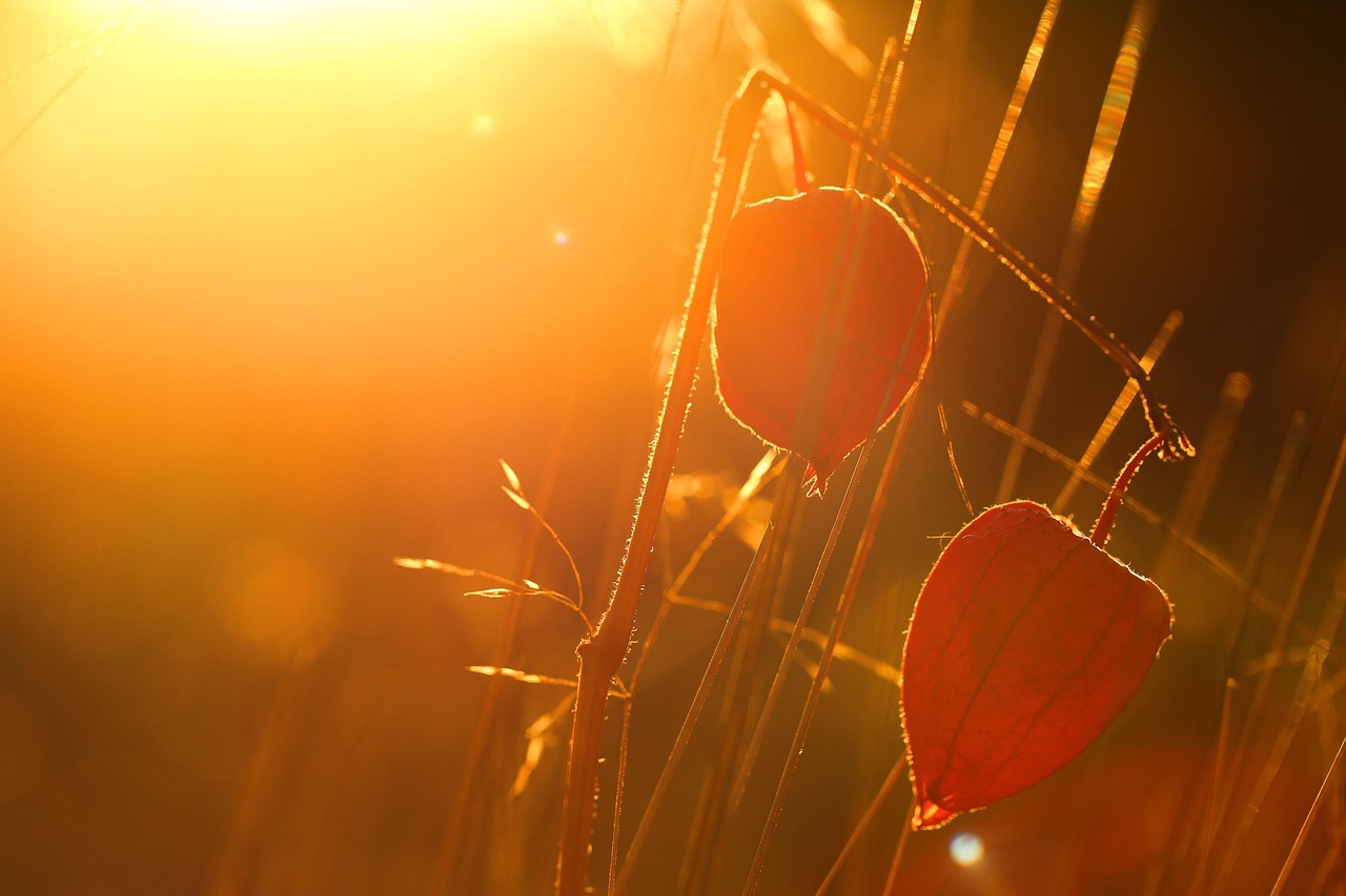 明亮的心,在平凡中发现非凡 明亮的心,在平凡中发现非凡