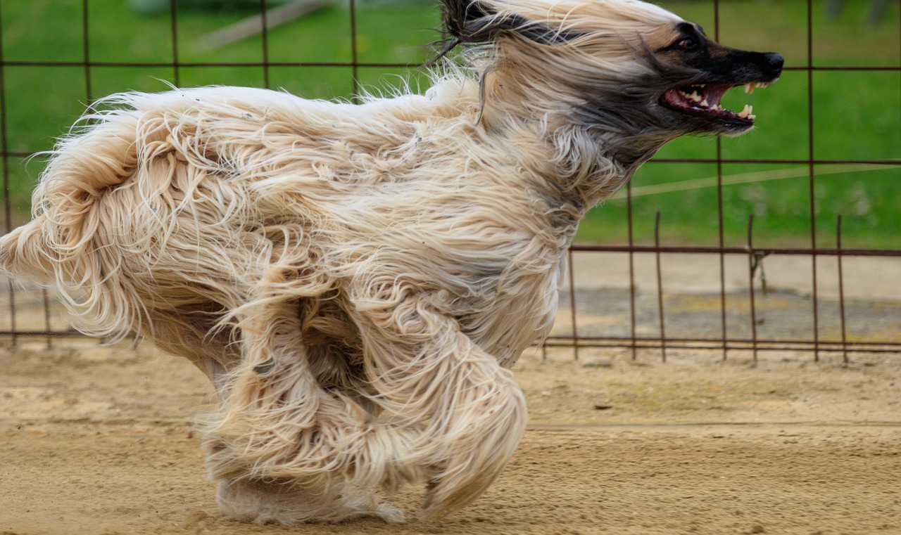 今日体育新闻，赛事动态与精彩瞬间