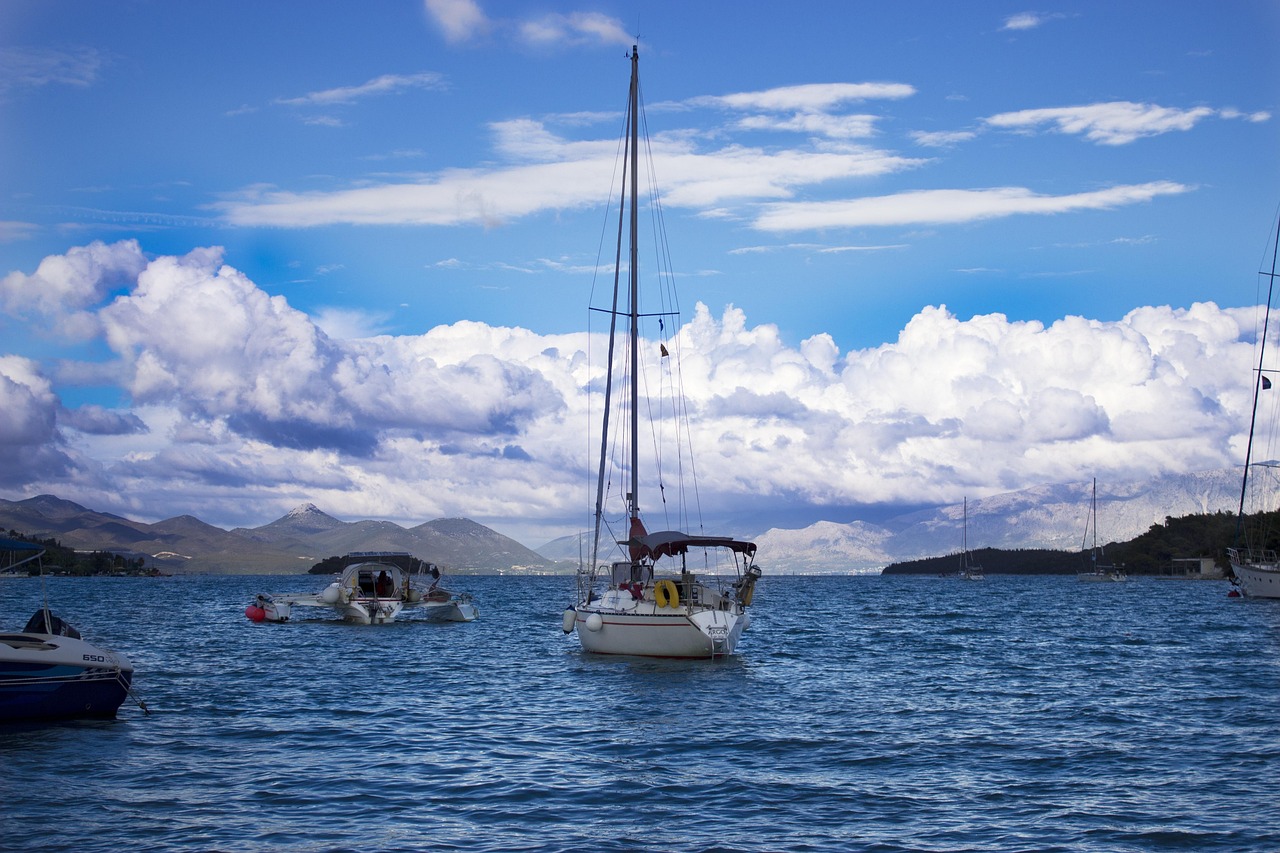 鲸鱼看球，畅游体育海洋的免费通行证