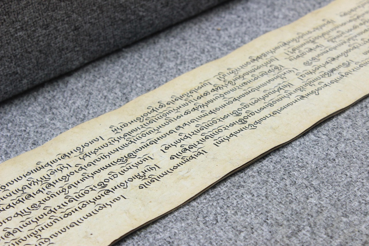 探索词根stall，语言的基石与文化之旅