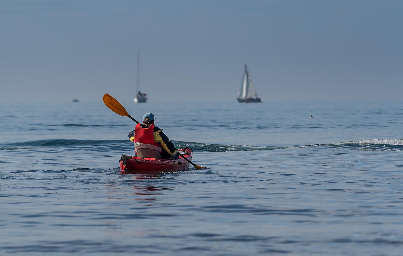 探索蓝鲸体育官网,如何安全下载与享受体育盛宴 探索蓝鲸体育官网,如何安全下载与享受体育盛宴