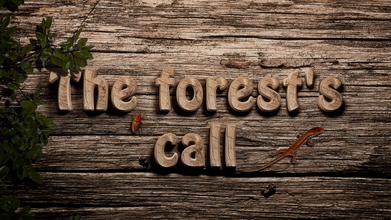 野性呼唤,探索Wild歌曲的魅力与力量 野性呼唤,探索Wild歌曲的魅力与力量