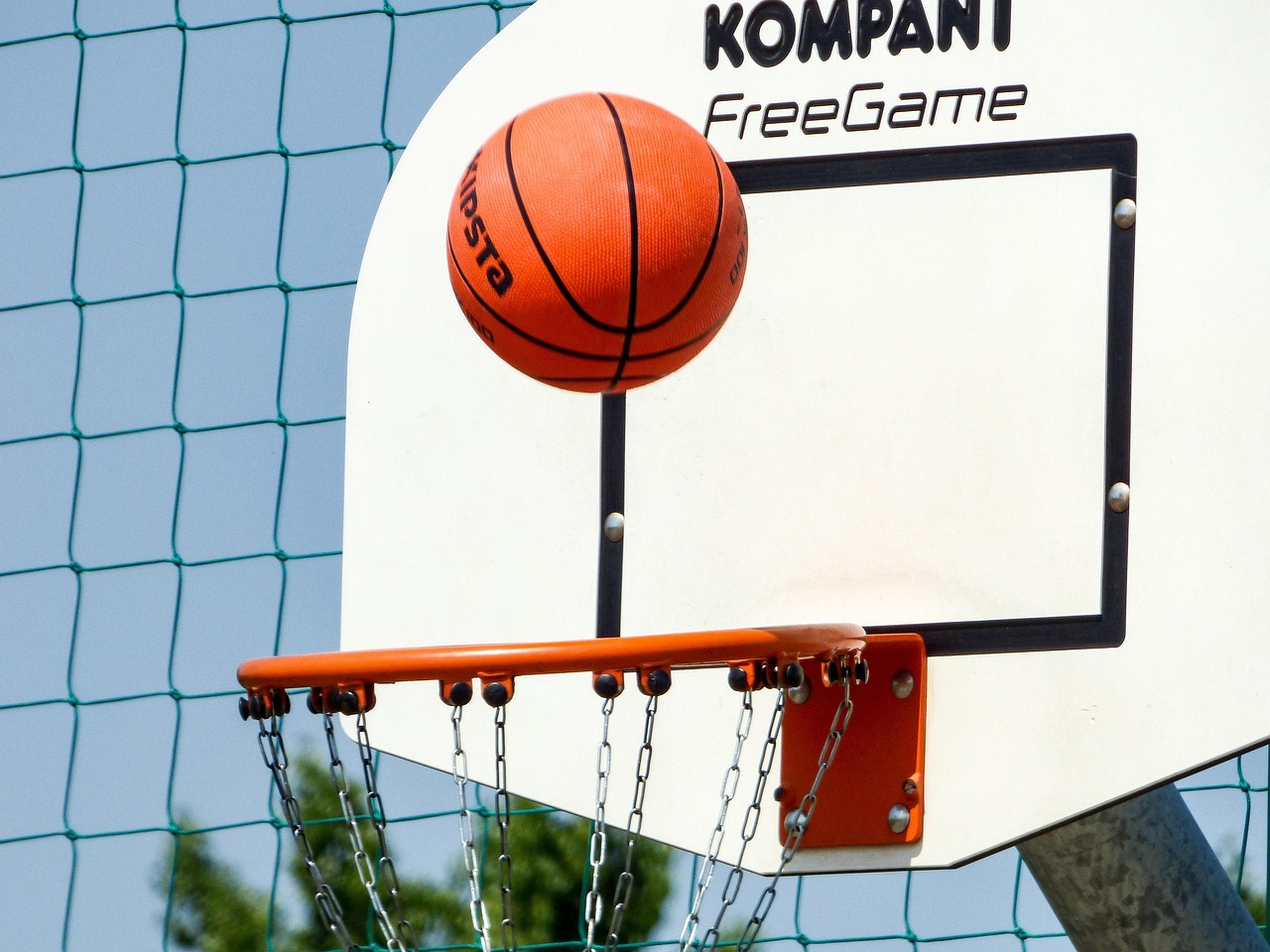 蓝鲸体育NBA，篮球迷的数字盛宴，探索篮球的无限可能