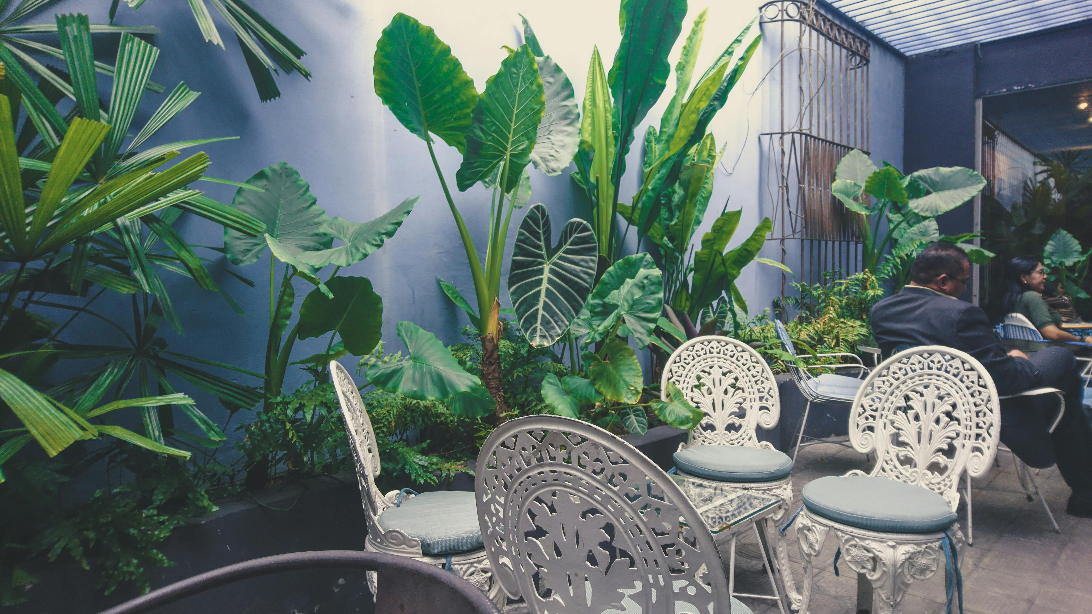 室内运动的魔力,如何在小空间里释放大能量 室内运动的魔力,如何在小空间里释放大能量