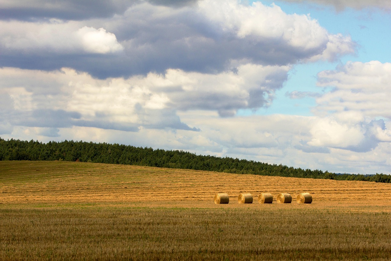 创建环境 创建环境