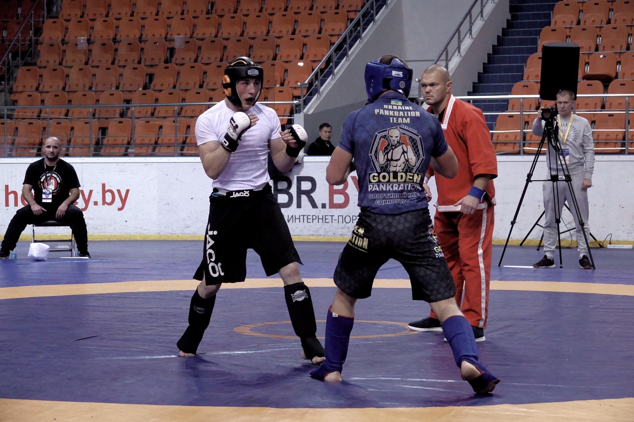 全球竞技场，运动项目世界排名的荣耀与挑战