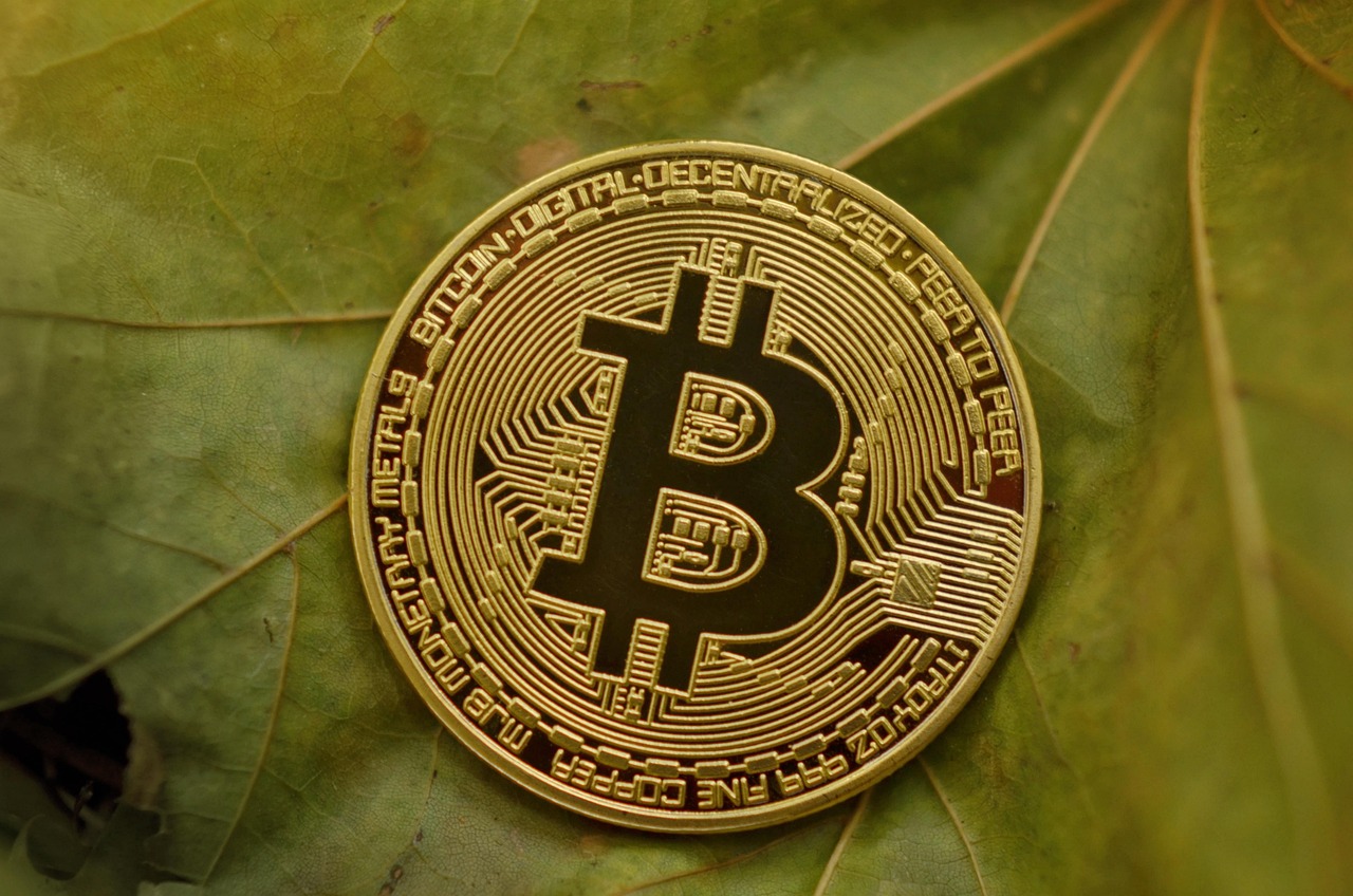 绿茵场上的数字奇迹，足球正版手游的魅力与未来