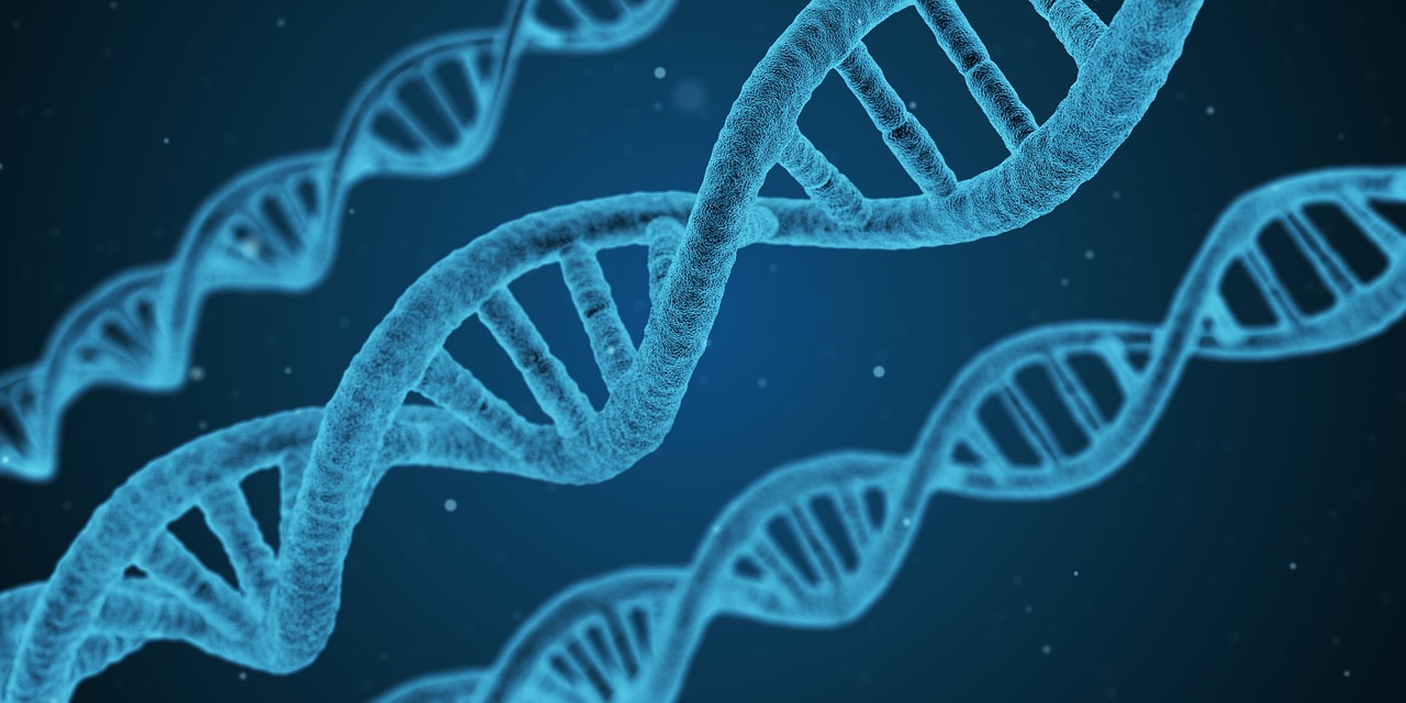 3D彩票预测，科学分析与十拿九稳的推荐策略