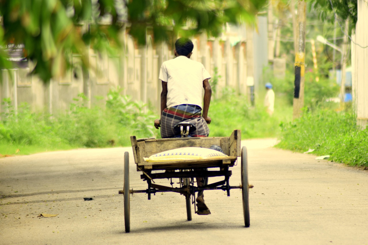 探索自行车之旅，如何用英语表达骑自行车