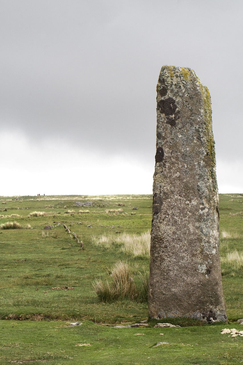 探索语言的魅力,如何用英文表达我经常去公园 探索语言的魅力,如何用英文表达我经常去公园
